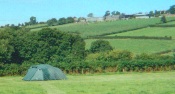Tents Welcome at Ley Hill
